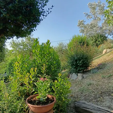 Dei Lecci *